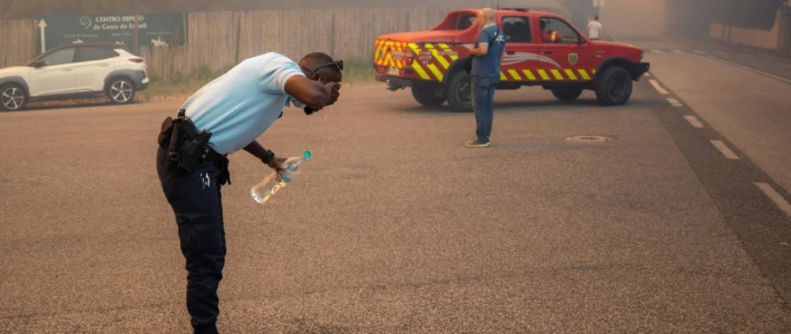 Pexels nuno magalhaes 1241549 27405232