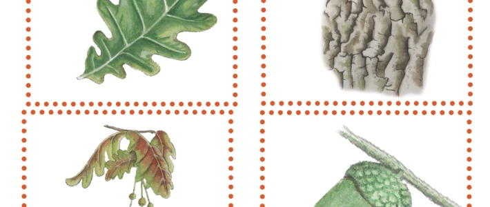 Screenshot 2025 10 09 at 11 08 43