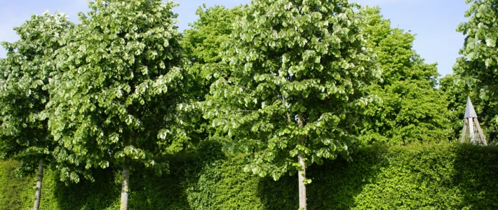 Adobe Stock 504398198