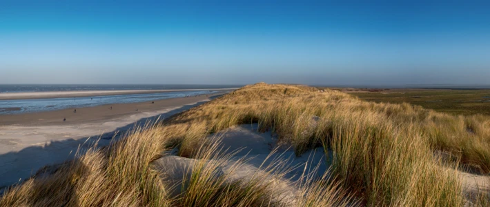 Adobe Stock 316131408