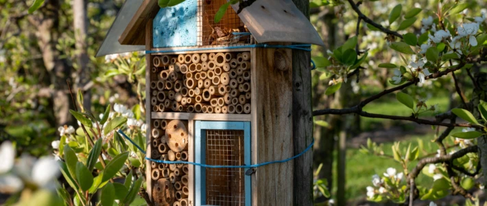 Adobe Stock 409976143