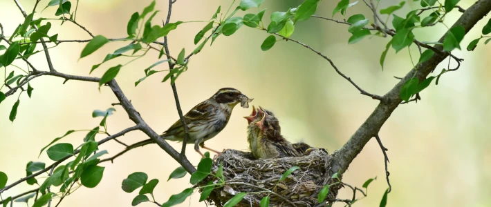 Adobe Stock 353578751