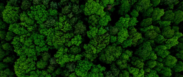 Adobe Stock 361713848