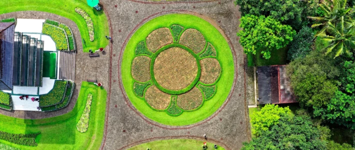 Bomen in allerlei vormen en maten