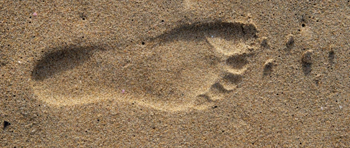 Pexels jurie maree 3665535 5724072