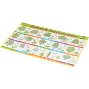 19 bomen herkennen poster niet vouwbaar