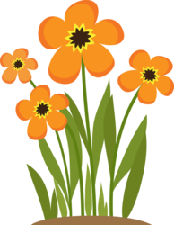 bloemen oranje